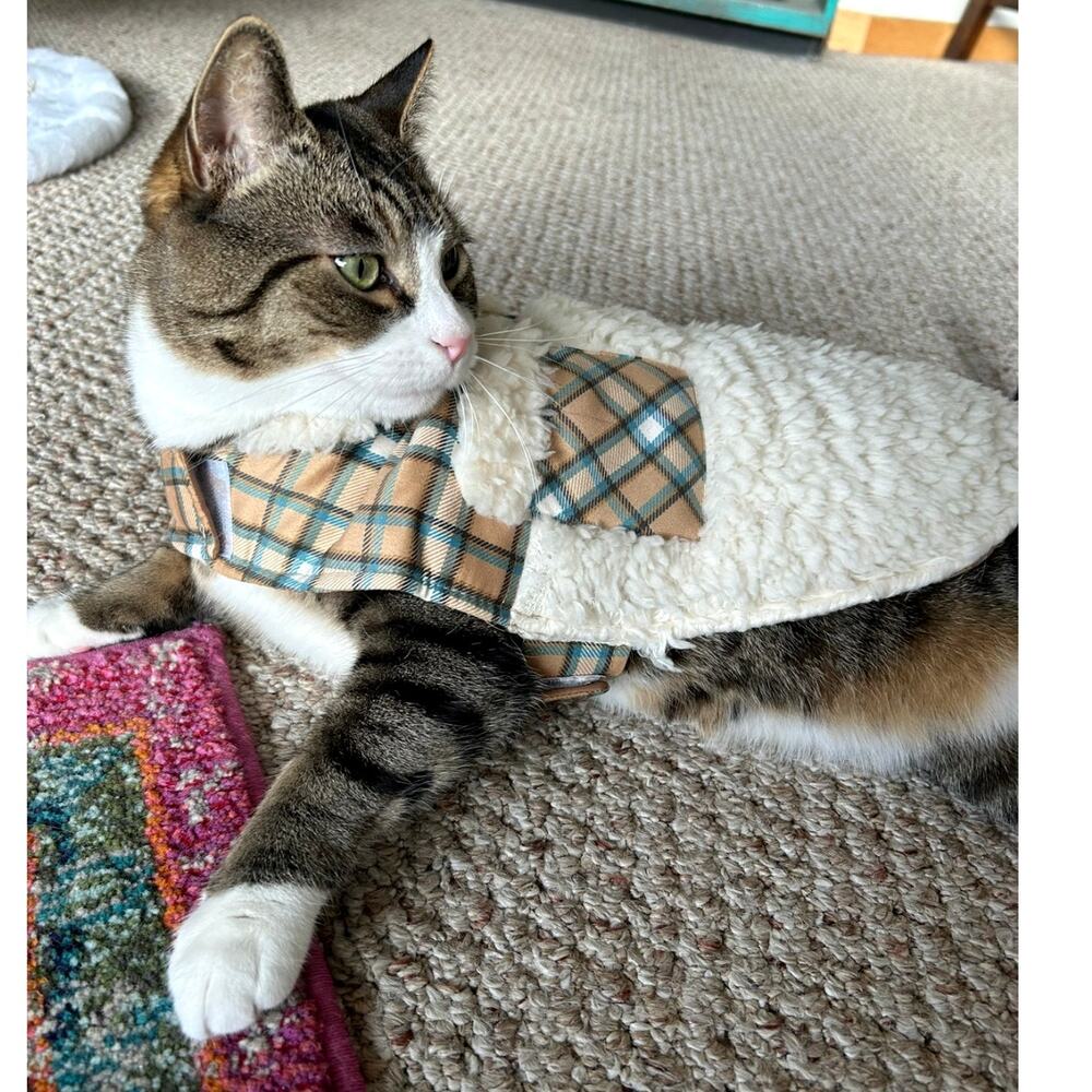 Frisco Lightweight Plaid Pocket Dog & Cat Coat, Medium